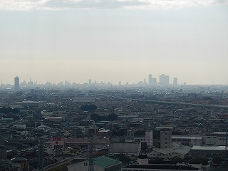 DSCN8417.jpg