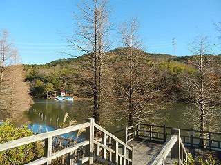 DSCN8427.jpg
