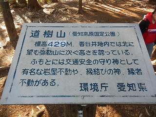DSCN8434.jpg