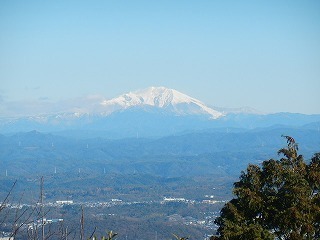 DSCN8437.jpg