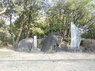 DSCN8477.jpg