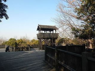 DSCN8481.jpg