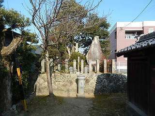 DSCN8483.jpg