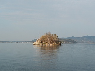 DSCN8588.jpg