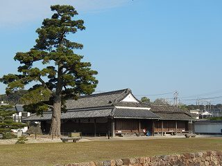 DSCN8595.jpg