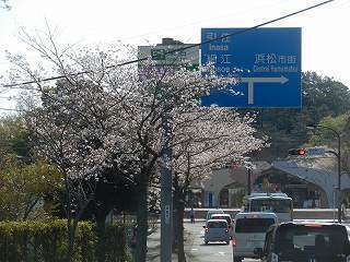 DSCN8606.jpg