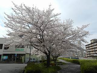 DSCN8610.jpg