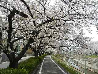 DSCN8614.jpg
