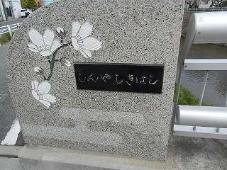 DSCN8617.jpg
