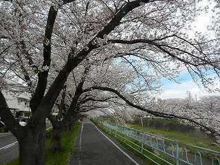 DSCN8619.jpg