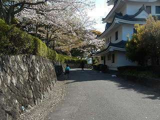 DSCN8625.jpg