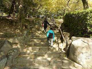 DSCN8627.jpg