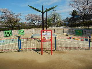 DSCN8631.jpg