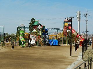 DSCN8632.jpg