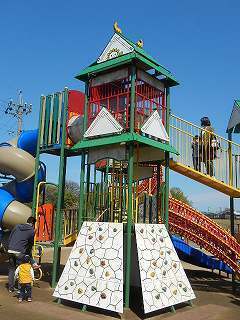 DSCN8637.jpg
