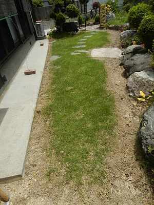DSCN8669.jpg