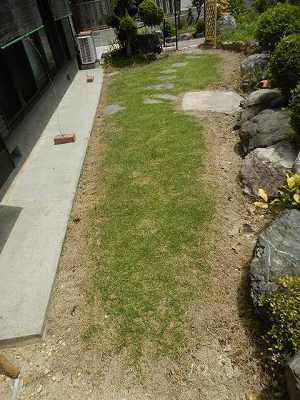 DSCN8671.jpg