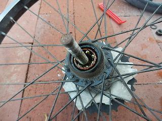 DSCN8736.jpg