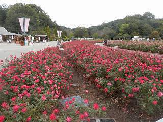 DSCN8808.jpg
