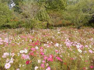 DSCN8824.jpg