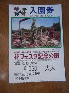 DSCN8832.jpg