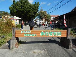 DSCN8834.jpg
