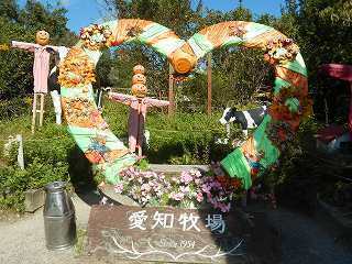 DSCN8837.jpg