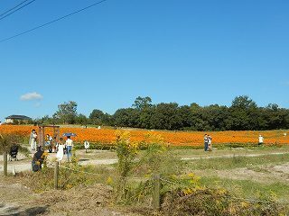 DSCN8841.jpg
