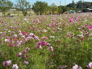 DSCN8843.jpg