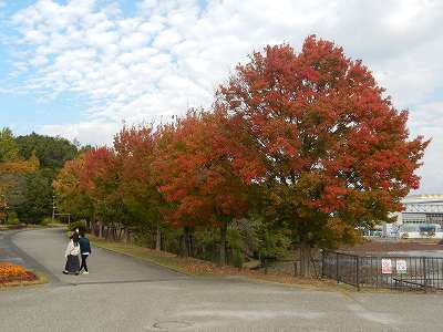 DSCN8873.jpg