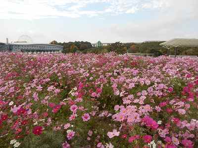 DSCN8878.jpg