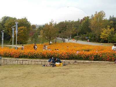 DSCN8883.jpg
