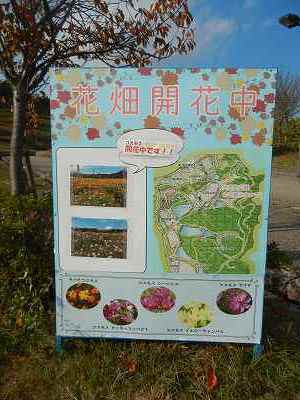 DSCN8889.jpg
