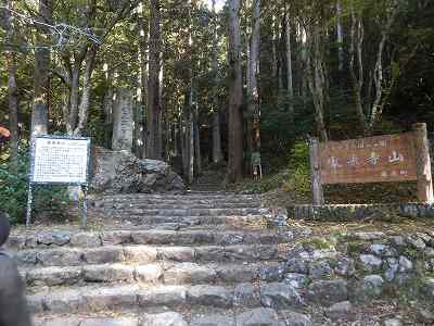 DSCN8892.jpg