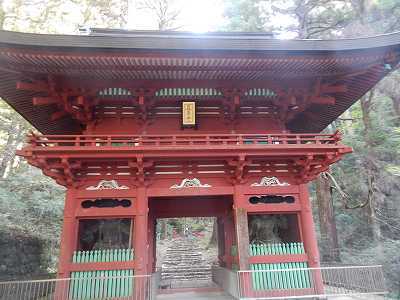 DSCN8896.jpg