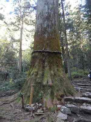 DSCN8901.jpg