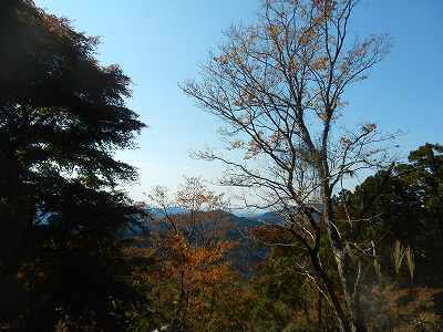 DSCN8910.jpg
