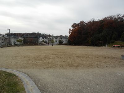 DSCN9003.jpg