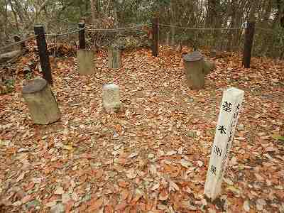 DSCN9006.jpg