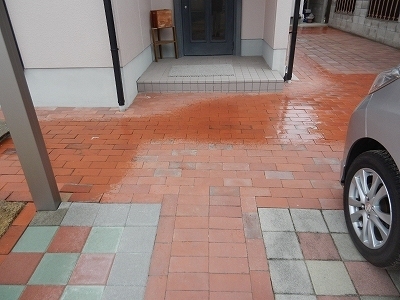 DSCN9102.jpg