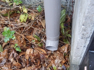 DSCN9104.jpg