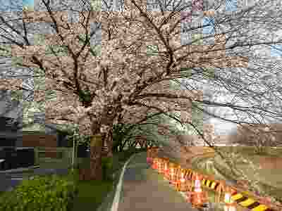 DSCN9254.jpg