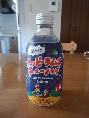 DSCN9387.jpg
