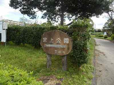 DSCN9485.jpg