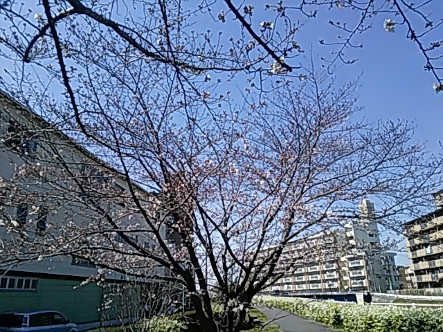 DSC_0006.JPG