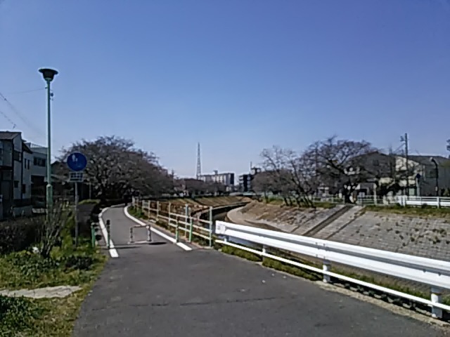 DSC_0007.JPG