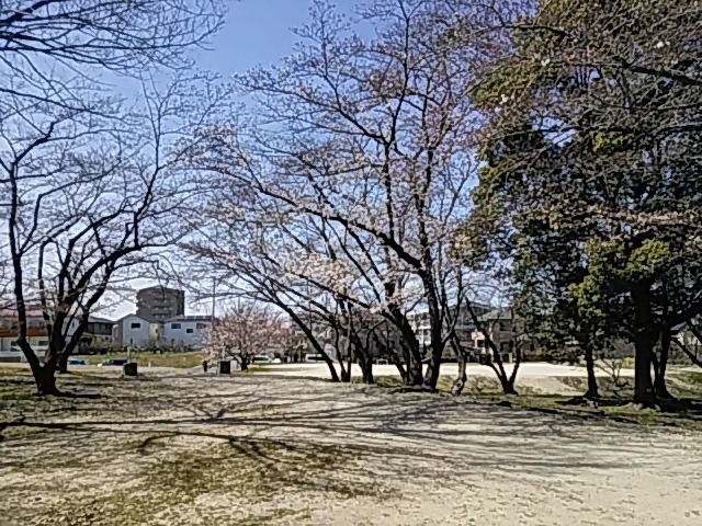 DSC_0018.JPG
