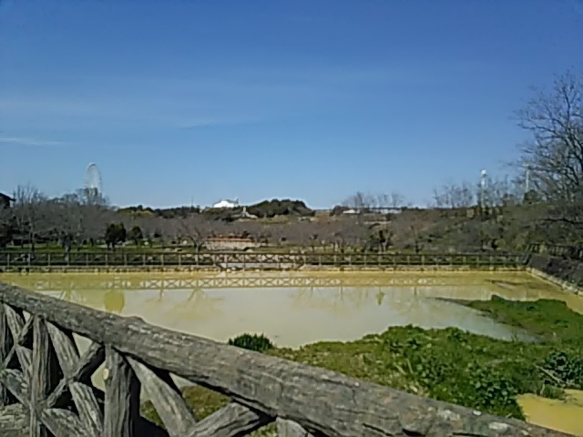 DSC_0021.JPG