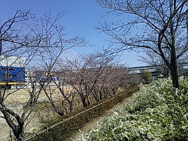 DSC_0025.JPG