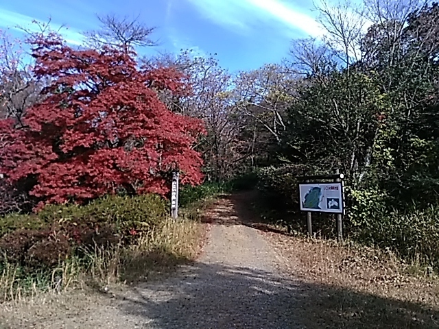 DSC_0029.JPG